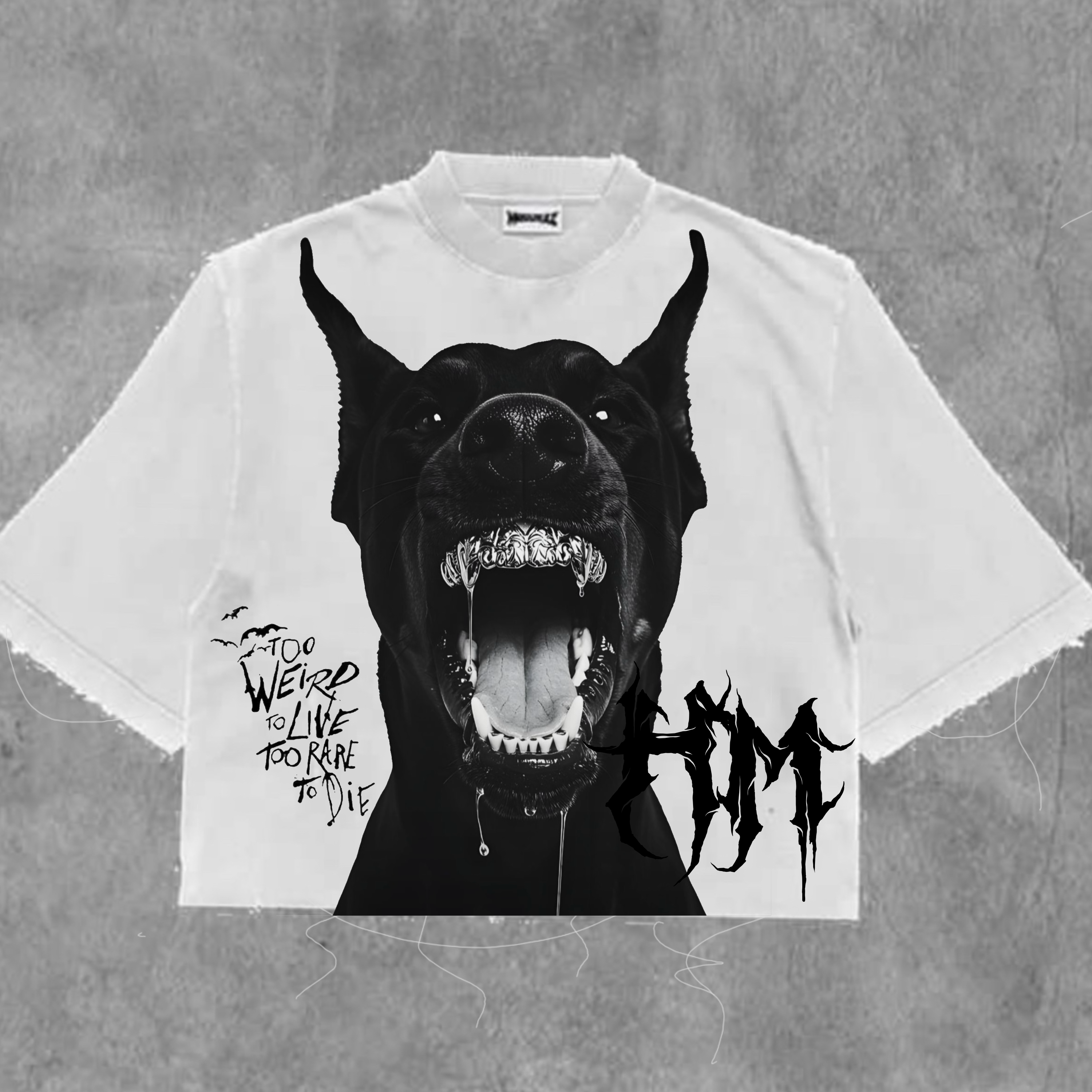 HM Anarchy Graphic 003.